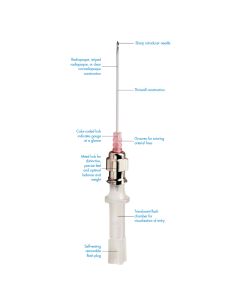 CATHLON ® IV Catheters