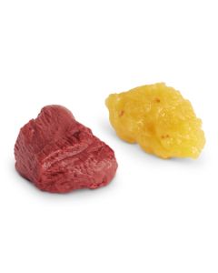 Fat and Muscle Replicas on Base