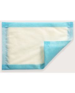 Mesorb Absorbent Dressing