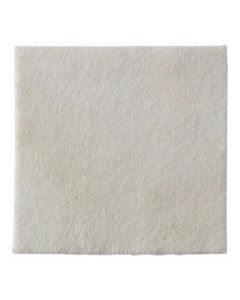 Biatain® Alginate Ag Dressing
