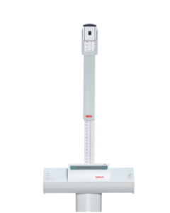 Seca® Aluminum Scale Height Measuring Rod - CM/IN