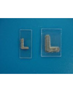 X-Ray 'L' Marker