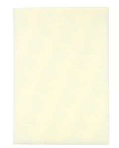3M™ Reston™ Self-Adhering Orthopedic Padding Medium Support