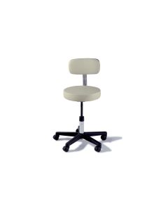 Ritter® 271 Adjustable Stool With Backrest, Shadow