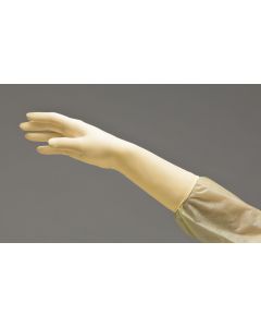 DermAssist® Prestige® DHD Latex Surgical Gloves, Size: 7