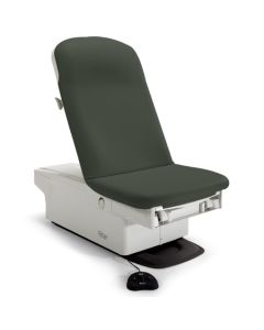 Seamless Exam Table 224/225 Upholstery Top, Shaded Garden