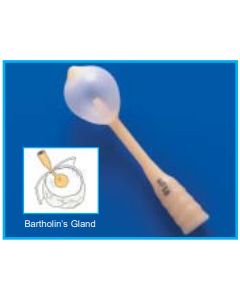 Word Bartholin's Catheter