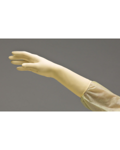 DermAssist® Prestige® DHD Latex Surgical Gloves, Size: 5.5
