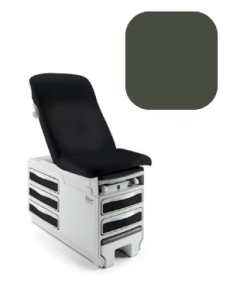 Seamless Exam Table Upholstery Top, Garden