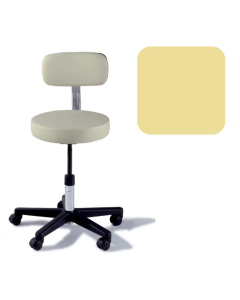 Ritter® 271 Adjustable Stool With Backrest, Citrus