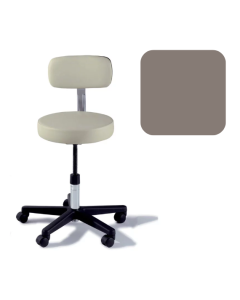 Ritter® 271 Adjustable Stool With Backrest, Latte