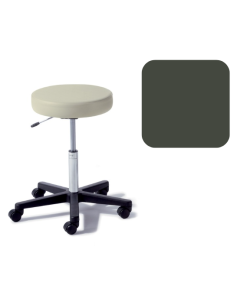 Ritter® 272 Value Series Air Lift Stool, Shaded Garden