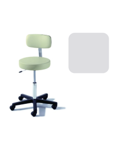 Ritter® 273 Value Series Air Lift Stool With Backrest, Mist