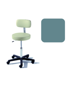 Ritter® 273 Value Series Air Lift Stool With Backrest, Healing Waters