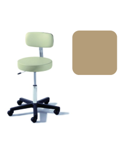 Ritter® 273 Value Series Air Lift Stool With Backrest, Sandy Retreat