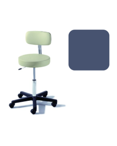 Ritter® 273 Value Series Air Lift Stool With Backrest, Soothing Blue