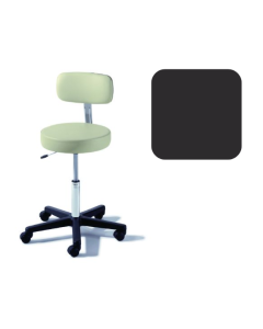 Ritter® 273 Value Series Air Lift Stool With Backrest, Obsidian