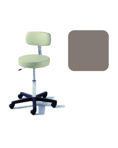 Ritter® 273 Value Series Air Lift Stool With Backrest, Latte