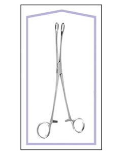 Disposable Foerster Sponge Forcep Curved 9 1/2 in (Sterile)